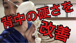 背骨ストレッチ　横浜